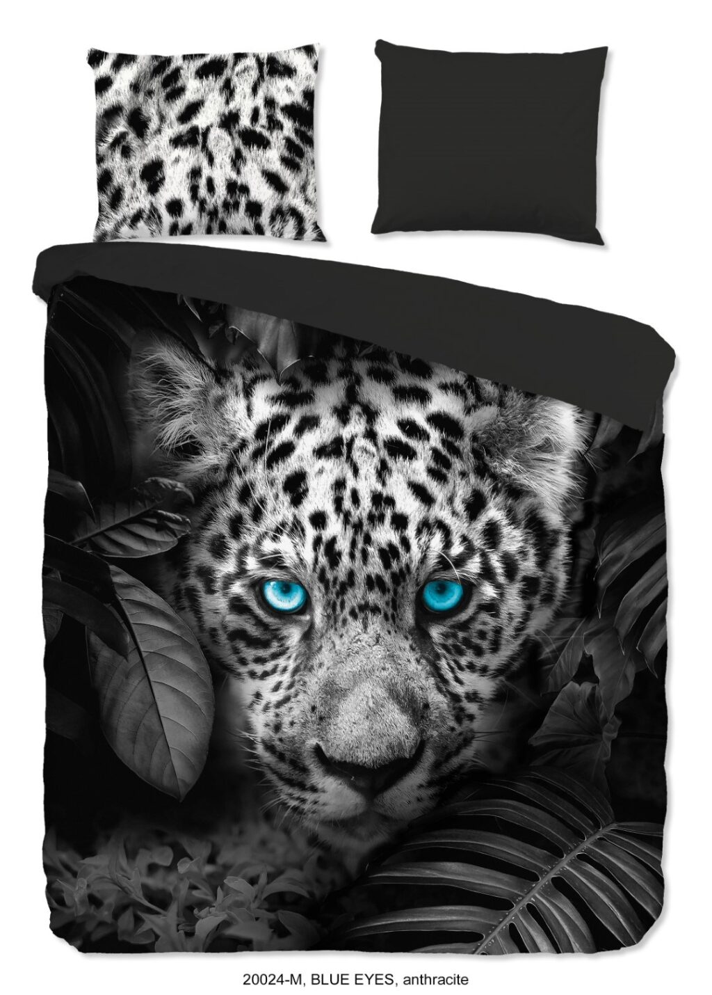 Cheeta Blue Eyes